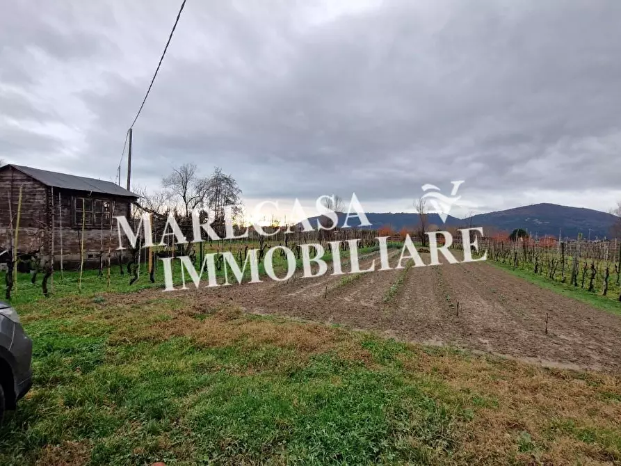 Immagine 1 di Terreno agricolo in vendita  a Sarzana
