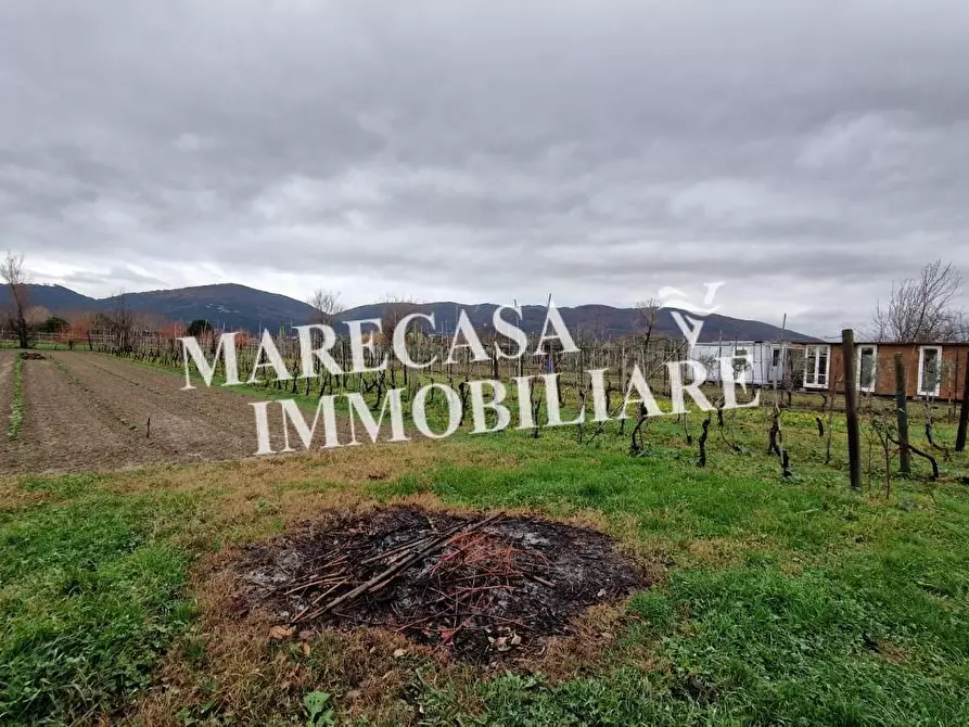 Immagine 6 di Terreno agricolo in vendita  a Sarzana