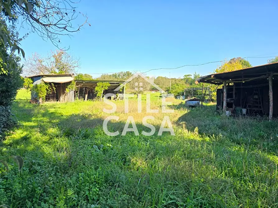 Immagine 5 di Rustico / casale in vendita  a Castelfranco Di Sotto