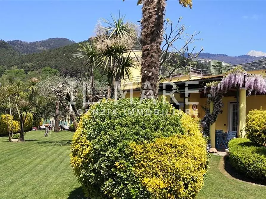 Immagine 6 di Villa in vendita  a Montignoso