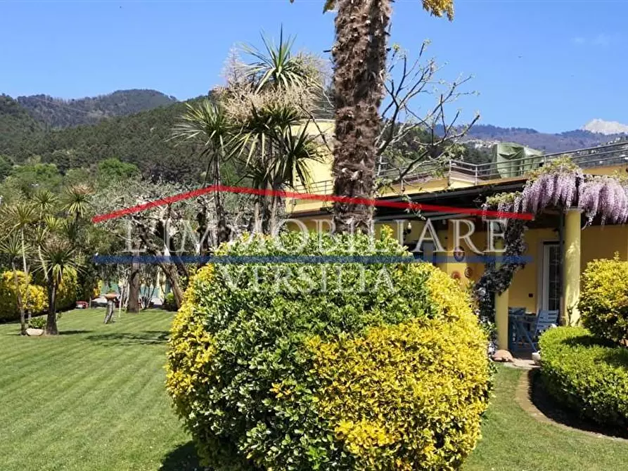 Immagine 6 di Villa in vendita  a Montignoso