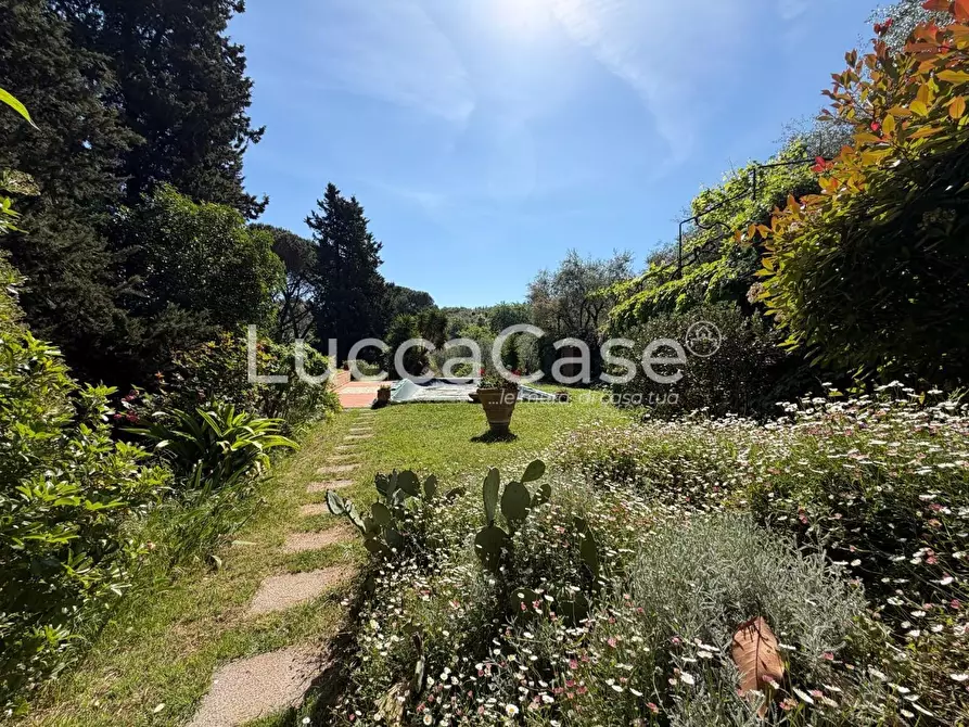 Immagine 40 di Villa in vendita  a Lucca