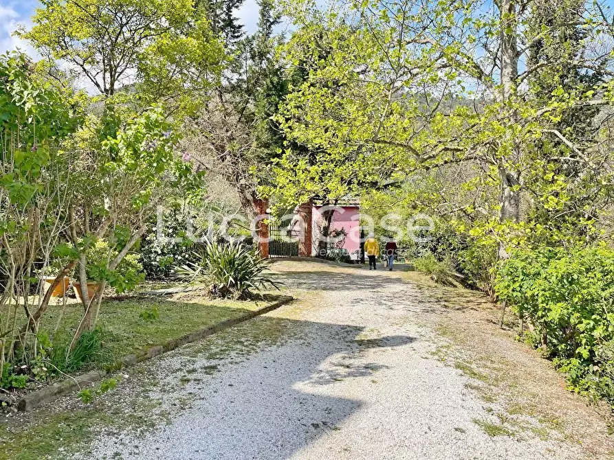 Immagine 28 di Rustico / casale in vendita  a Lucca