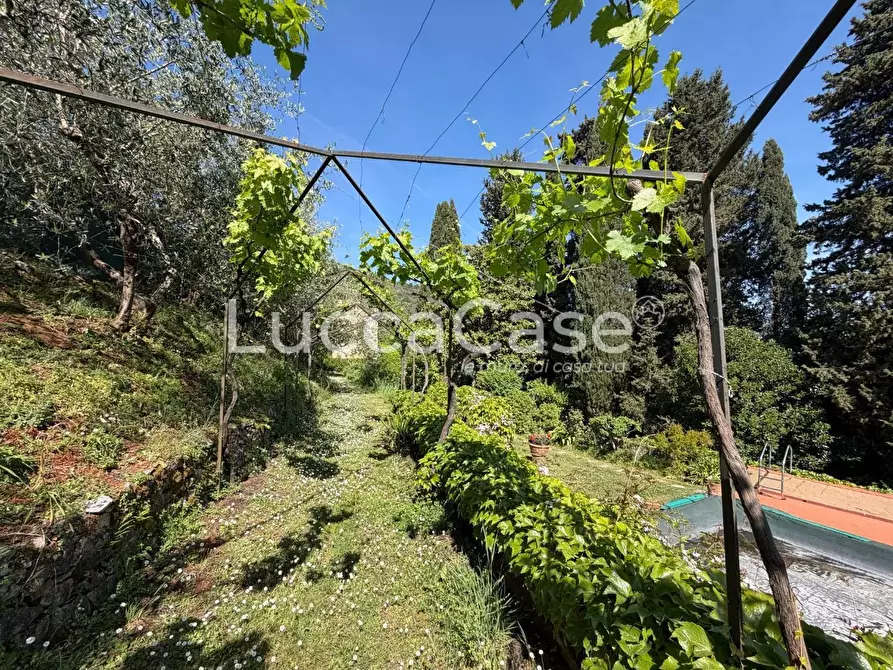 Immagine 44 di Villa in vendita  a Lucca