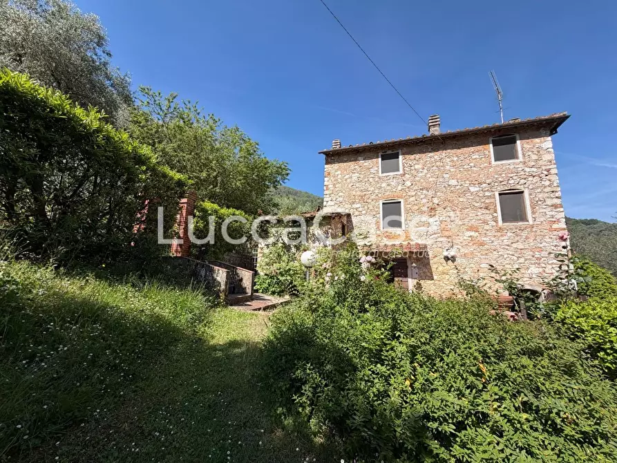 Immagine 45 di Villa in vendita  a Lucca