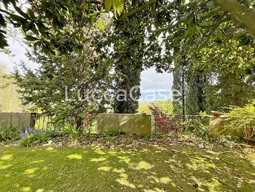 Immagine 5 di Rustico / casale in vendita  a Lucca