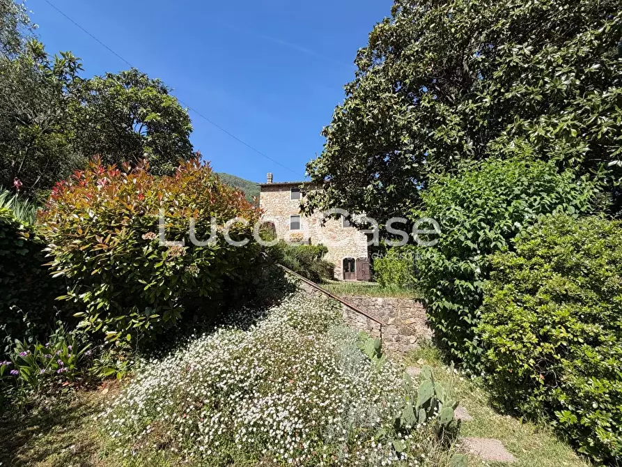 Immagine 39 di Villa in vendita  a Lucca