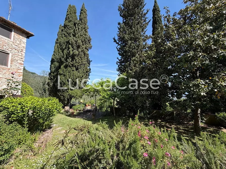 Immagine 46 di Villa in vendita  a Lucca