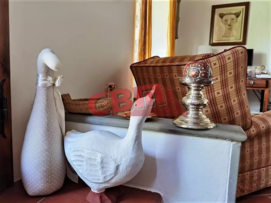 Immagine 14 di Villa in vendita  a Livorno