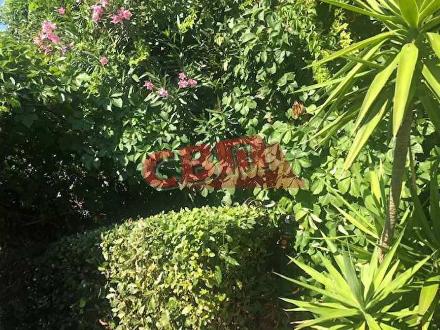 Immagine 34 di Villa in vendita  a Livorno