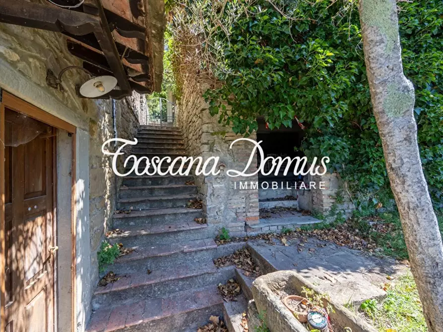 Immagine 3 di Casa colonica in vendita  a Cortona