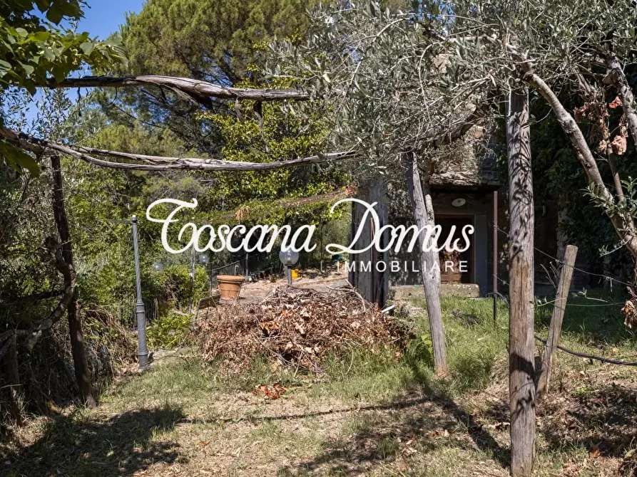 Immagine 22 di Casa colonica in vendita  a Cortona