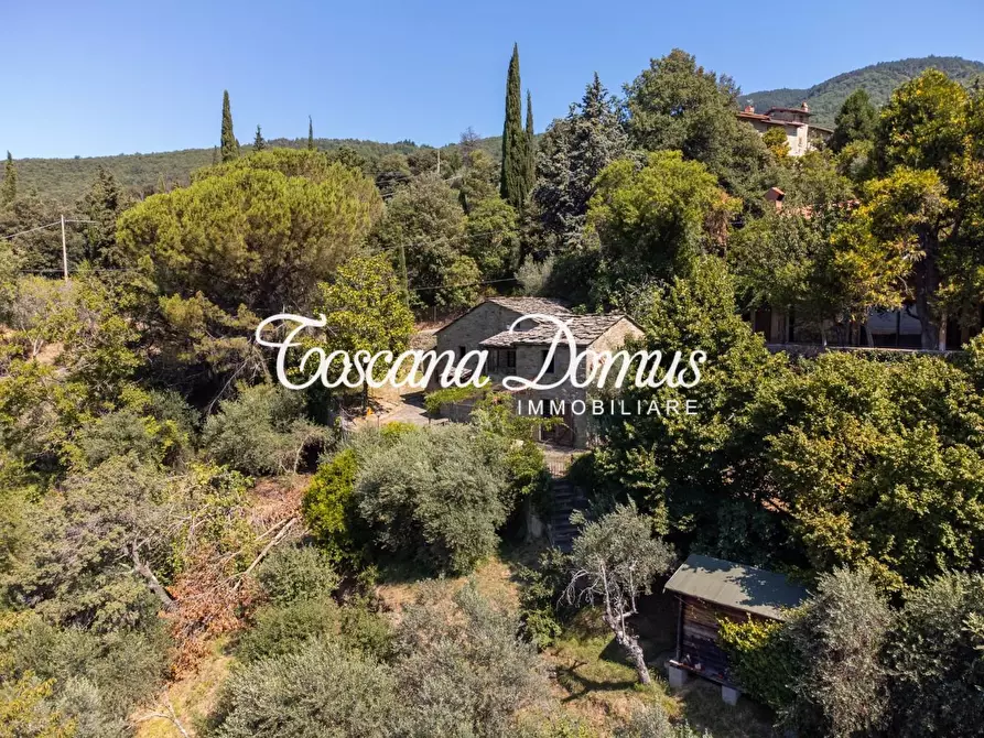Immagine 6 di Casa colonica in vendita  a Cortona