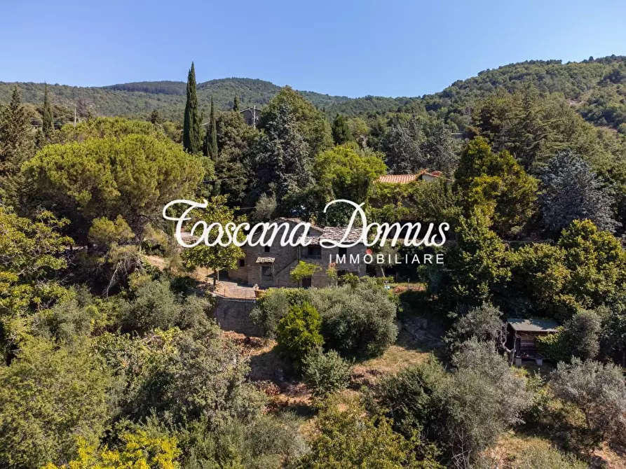 Immagine 9 di Casa colonica in vendita  a Cortona