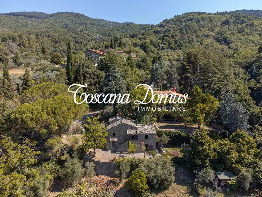 Immagine 11 di Casa colonica in vendita  a Cortona
