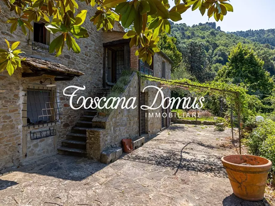 Immagine 21 di Casa colonica in vendita  a Cortona