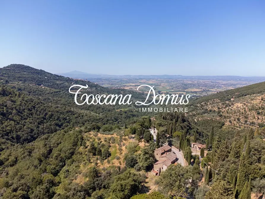 Immagine 5 di Casa colonica in vendita  a Cortona