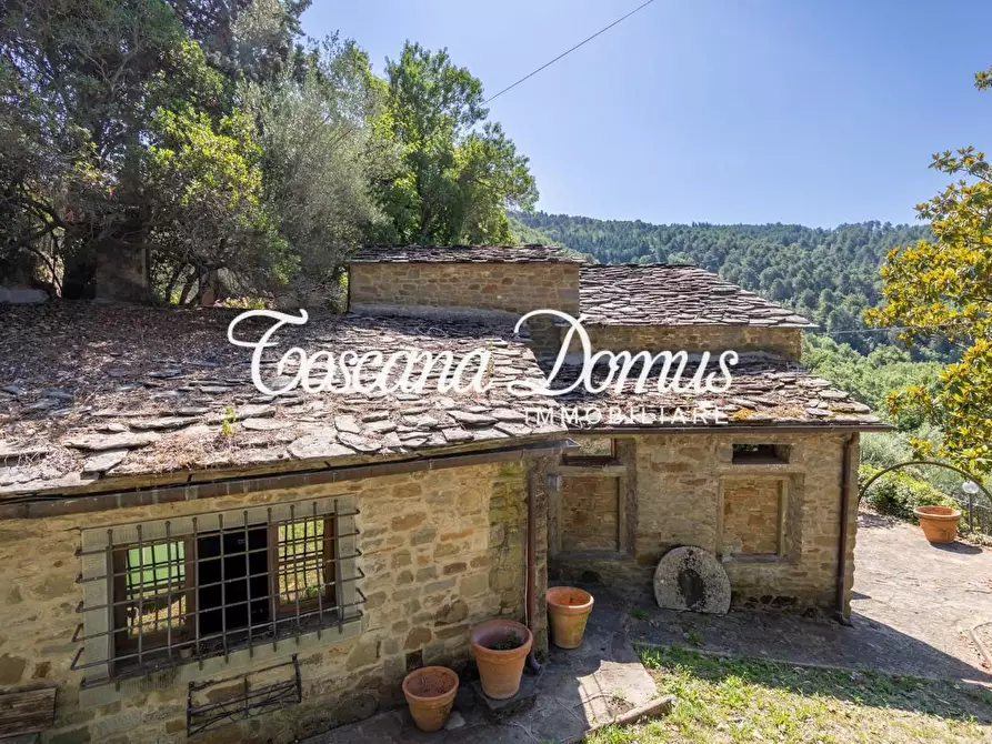 Immagine 4 di Casa colonica in vendita  a Cortona