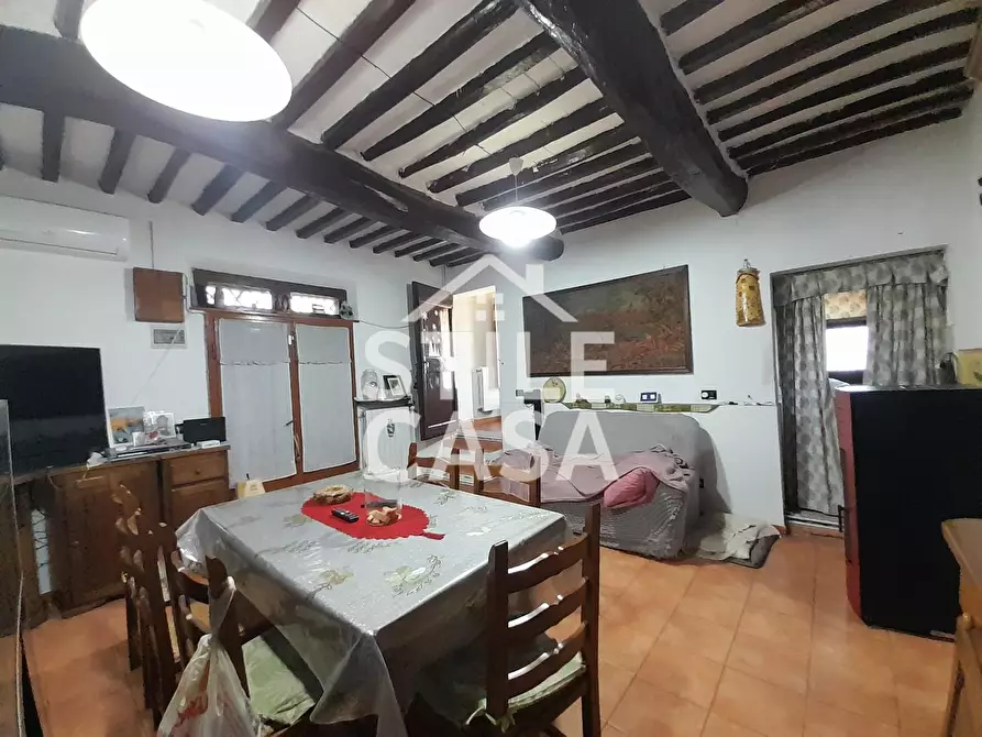 Immagine 8 di Casa colonica in vendita  a Altopascio