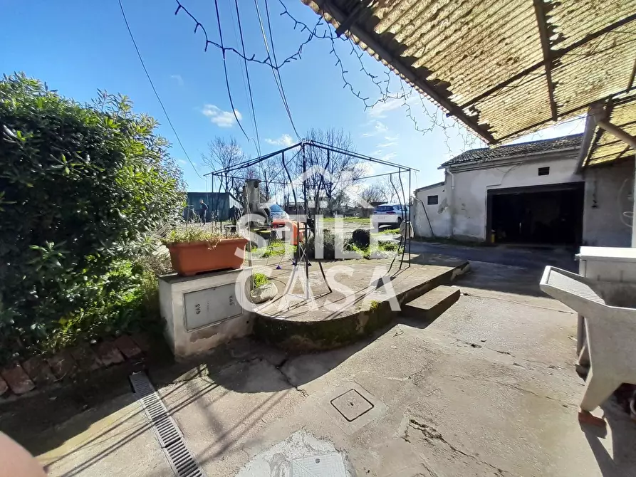 Immagine 3 di Casa colonica in vendita  a Altopascio