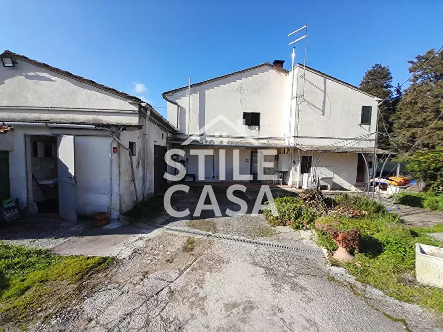 Immagine 2 di Casa colonica in vendita  a Altopascio