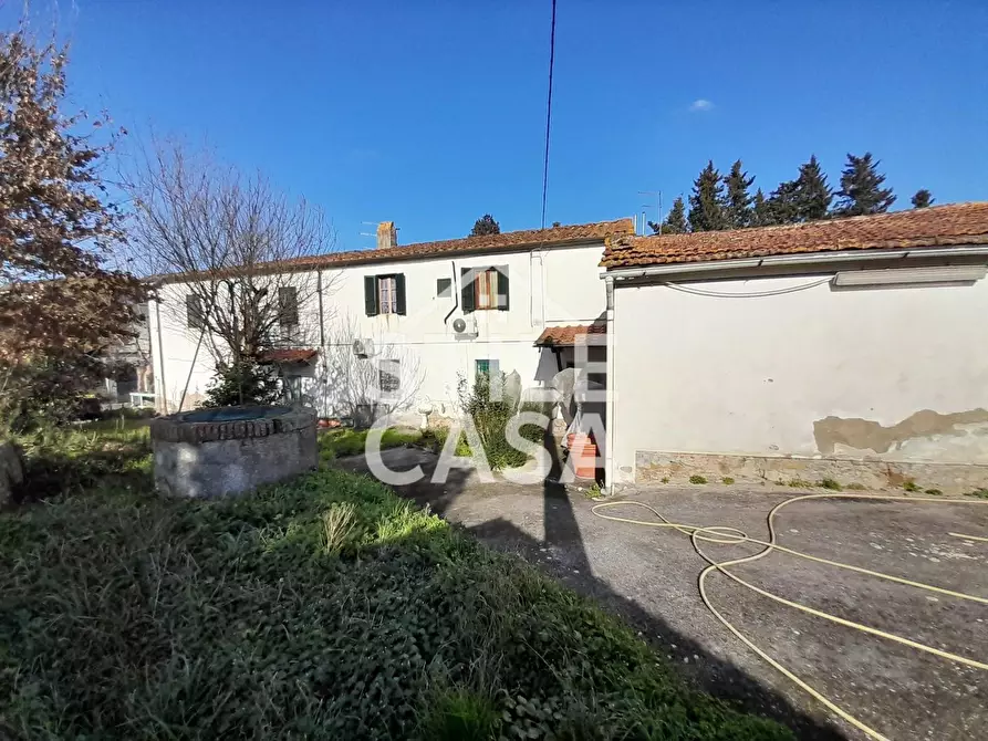 Immagine 4 di Casa colonica in vendita  a Altopascio