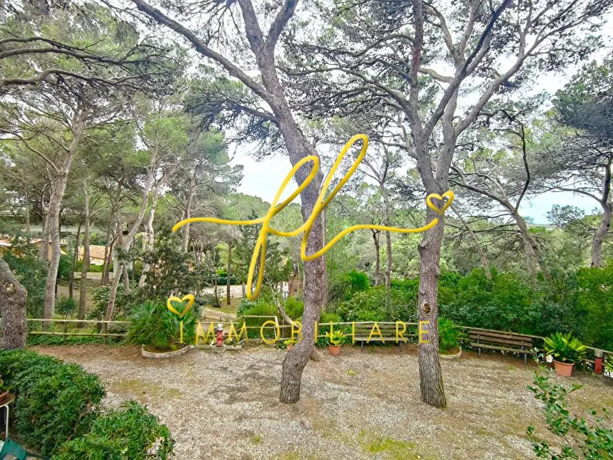 Immagine 12 di Appartamento in vendita  a Rosignano Marittimo