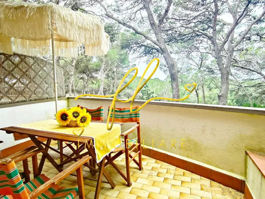 Immagine 5 di Appartamento in vendita  a Rosignano Marittimo