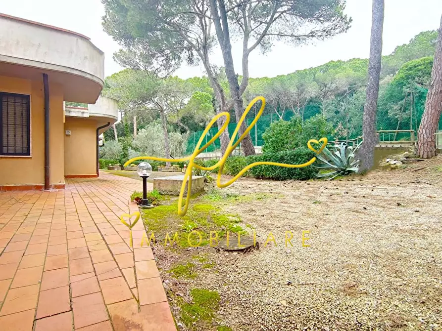 Immagine 11 di Appartamento in vendita  a Rosignano Marittimo