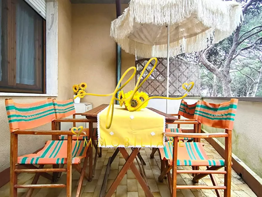 Immagine 4 di Appartamento in vendita  a Rosignano Marittimo