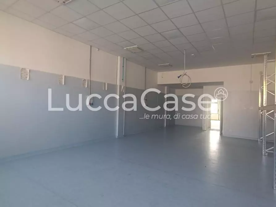 Immagine 1 di Attività artigianale in affitto  a Lucca