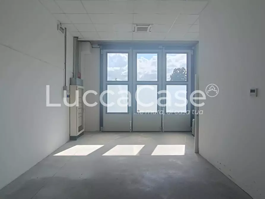 Immagine 4 di Attività artigianale in affitto  a Lucca