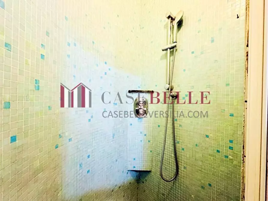 Immagine 22 di Appartamento in affitto  a Forte Dei Marmi