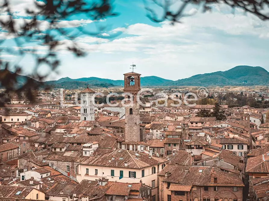 Immagine 16 di Ufficio in affitto  a Lucca