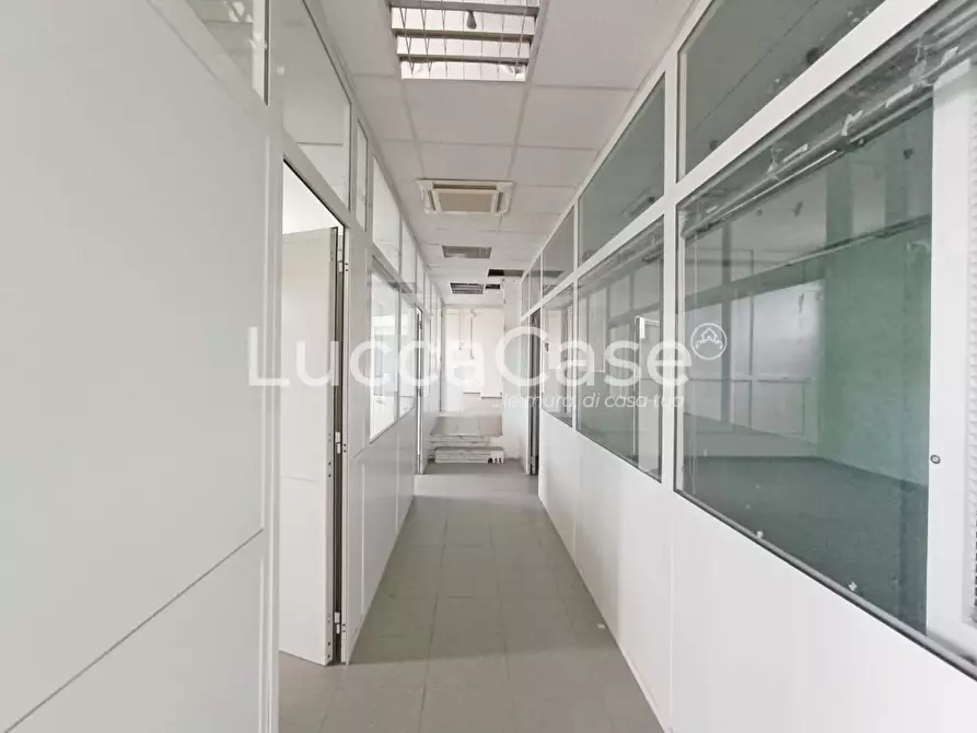 Immagine 7 di Laboratorio in affitto  a Pisa