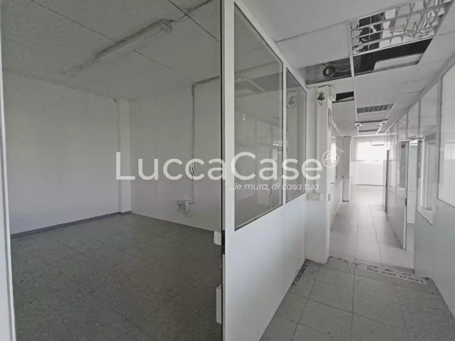 Immagine 10 di Laboratorio in affitto  a Pisa