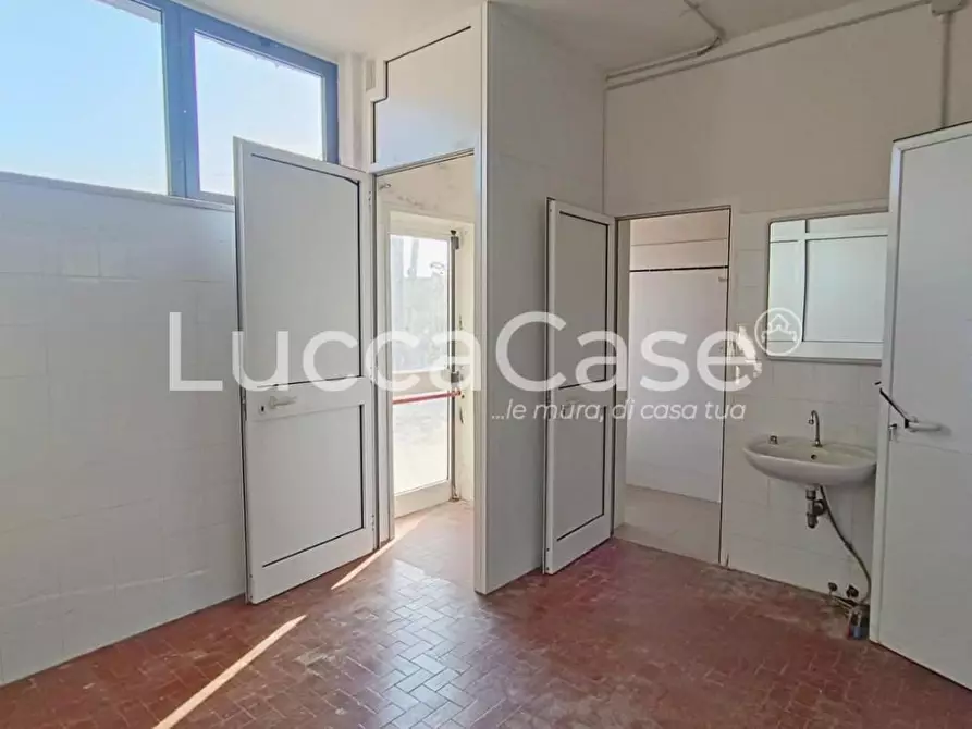 Immagine 15 di Capannone industriale in affitto  a Lucca
