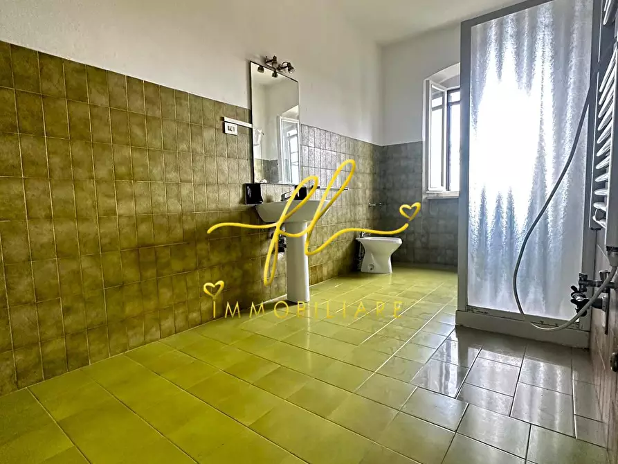 Immagine 9 di Appartamento in vendita  a Rosignano Marittimo