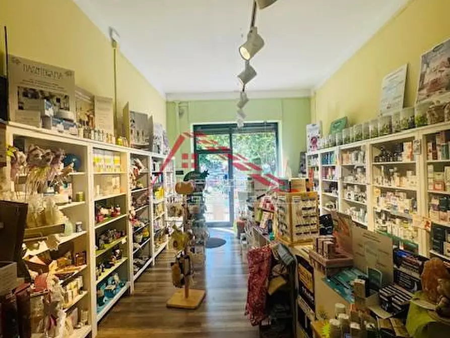 Immagine 5 di Attività commerciale in vendita  a San Giuliano Terme