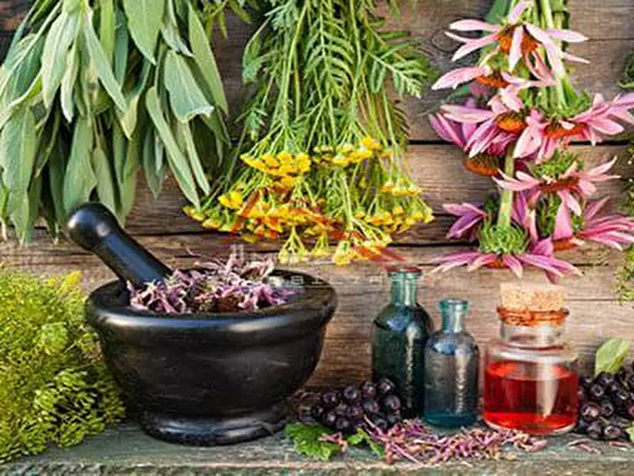 Immagine 7 di Attività commerciale in vendita  a San Giuliano Terme