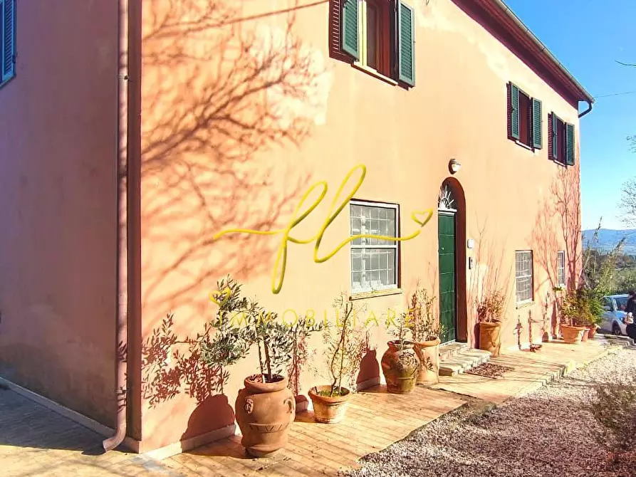 Immagine 39 di Casa colonica in vendita  a Rosignano Marittimo