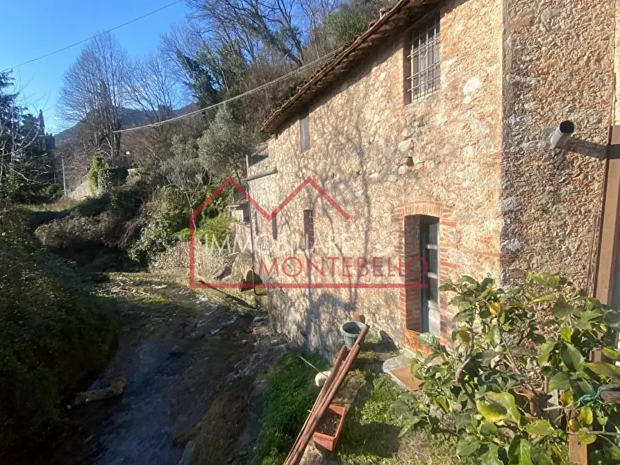 Immagine 2 di Rustico / casale in vendita  a Camaiore