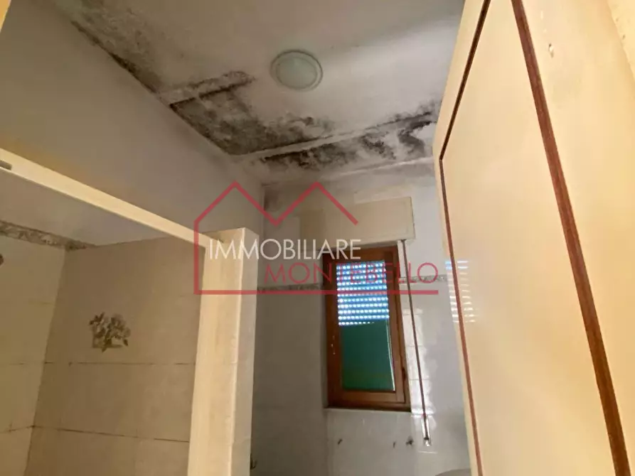 Immagine 7 di Casa bifamiliare in vendita  a Camaiore