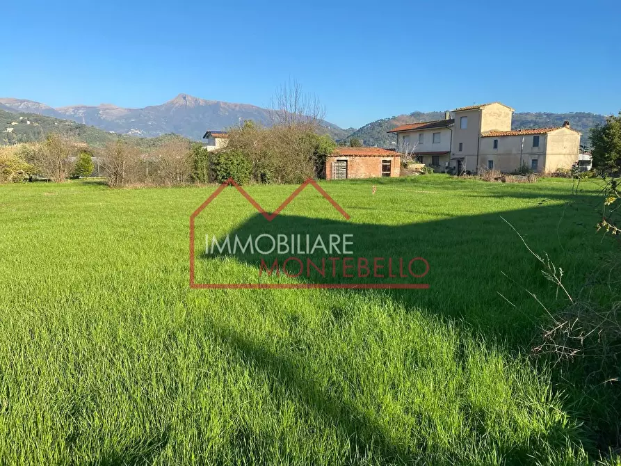 Immagine 2 di Casa bifamiliare in vendita  a Camaiore