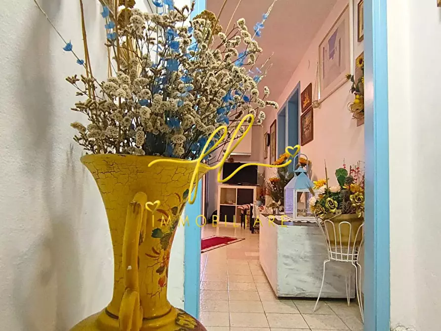 Immagine 6 di Appartamento in vendita  a Rosignano Marittimo