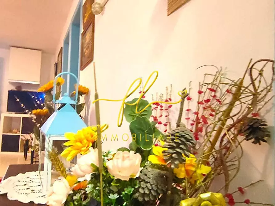 Immagine 12 di Appartamento in vendita  a Rosignano Marittimo