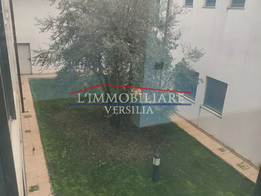 Immagine 21 di Capannone industriale in vendita  a Massa