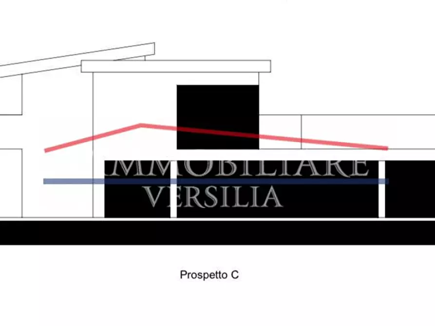 Immagine 24 di Villa in vendita  a Forte Dei Marmi