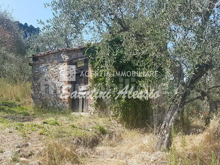 casa indipendente in vendita a Capannori