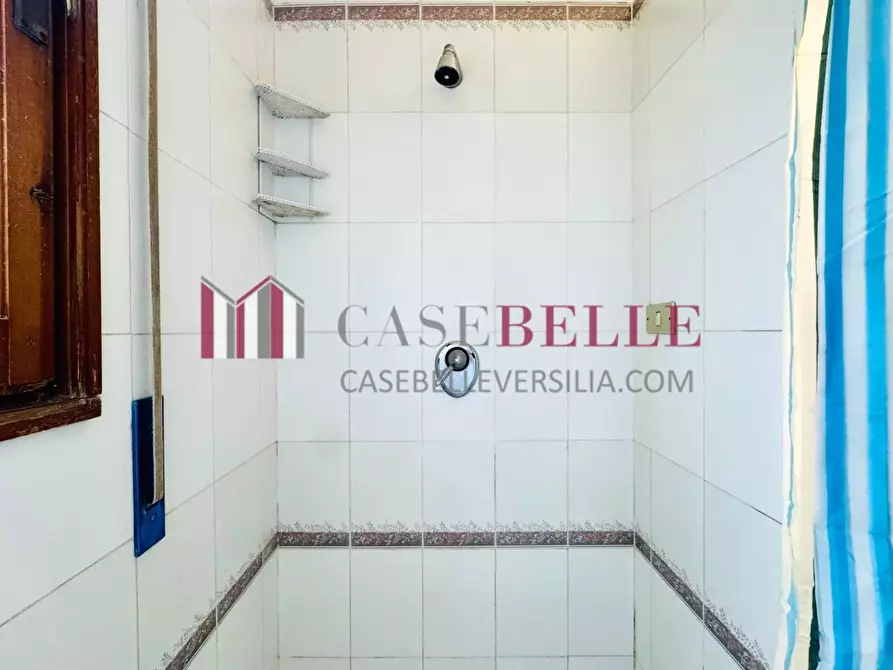 Immagine 29 di Appartamento in affitto  a Viareggio